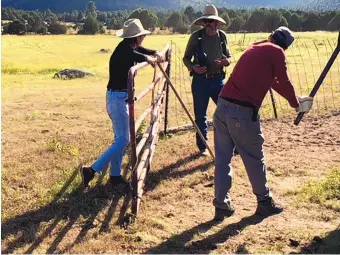  ?? COURTESY OF BARBARA VIGIL ?? Barbara Vigil, left, on the ranch with Virgil Trujillo, center with hat, and Harold Valencia.