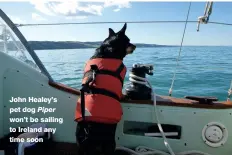  ??  ?? John Healey’s pet dog Piper won’t be sailing to Ireland any time soon