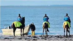  ??  ?? Mounted police officers patrol a French beach to protect oyster beds from the rustlers
