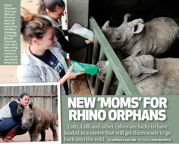  ??  ?? RIGHT: Volunteers Tiana Lazo (left) and Zanré van Jaarsveld feed Lolli and Lotti at The Rhino Orphanage in Limpopo. BELOW: Zanré with Lotti, who’d been sitting next to her mom’s carcass for two days before being found.