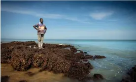  ?? Photograph: Rebecca Parker ?? Tiwi senior lawman Dennis Tipakalipp­a is fighting the offshore gas regulator’s decision to allow Santos to drill eight wells north-west of Darwin.