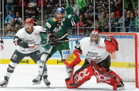  ?? Foto: Siegfried Kerpf ?? Hier bin ich: Trevor Parkes (Mitte) gewann mit dem AEV gegen Köln mit 3:2 n. P.