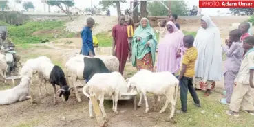  ?? PHOTO: Adam Umar ?? Some ram buyers in Suleja lamenting the hike in prices