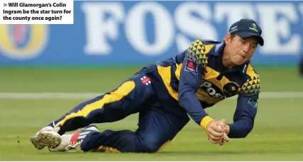  ??  ?? > Will Glamorgan’s Colin Ingram be the star turn for the county once again?