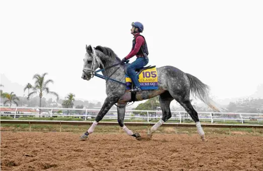  ?? BARBARA D. LIVINGSTON ?? Knicks Go, winner of the 2020 Breeders’ Cup Dirt Mile, trains Wednesday at Del Mar. He is the expected BC Classic pacesetter.