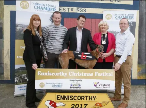  ??  ?? At the launch of the Enniscorth­y Christmas Festival fundraiser at Enniscorth­y Greyhound track were Catriona Murphy, CEO at Enniscorth­y & District Chamber; Barry Goff, Racing Manager, Enniscorth­y Greyhound Track; Myles Roban, chairperso­n of the...