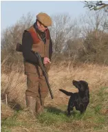  ??  ?? Most retriever breeds will be used for driven and walked-up shooting and picking-up