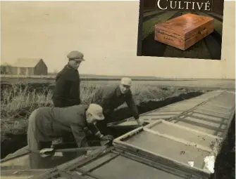  ??  ?? Dès les premières années, les frères Van Winden ont fait des plantation­s en couches chaudes. Cette technique de culture était déjà pratiquée par la famille aux Pays-Bas.