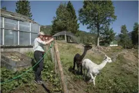  ??  ?? 04Fjordlan­dskap. Fengselet på Ulvsnesøy ligger idyllisk til utenfor Vaksdal i Sørfjorden i Hordaland fylke. Fra Bergen tar det ca. 25 minutter med tog.