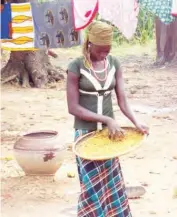  ??  ?? Sadiqa Umar removing dirt from rice