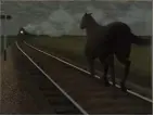  ??  ?? Horse and Train 1954 Alex Colville glazed oil on hardboard, 41.2 x 54.2 cm