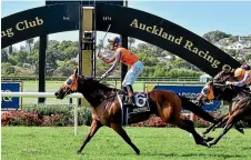  ?? GETTY IMAGES ?? Glamour galloper Melody Belle says goodbye to Rosehill today when she chases victory in the Tancred Stakes.