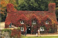  ?? PAUL ELLIS / AFP ?? Tu Hwnt ir Bont Tearooms in Llanrwst.