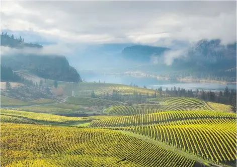  ?? ADAM GIBBS ?? The vineyards and Vaseux Lake seen from Blue Mountain Winery in the Okanagan Valley are part of B.C.’s ‘wow’ factor, a big attraction to tourists.