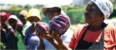  ??  ?? DUMP sites across the country are ideal for food gardens and ‘bring so many positive aspects of life’.