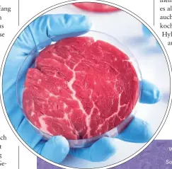  ??  ?? Im Labor produziert­es Fleisch aus Zellkultur­en ist in der Produktion sehr aufwendig und teuer – zumindest derzeit noch.