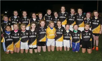  ??  ?? The defeated finalists from Castlebrid­ge.