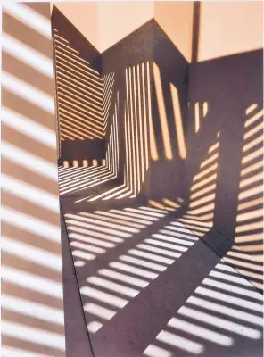  ??  ?? “Walkway Shadows” by Dan Shaffer contains zigzag lines reminiscen­t of zebras or African textile patterns.