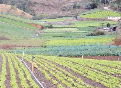  ?? DIVULGAÇÃO ?? As cooperativ­as passam a fornecer oito diferentes produtos para a merenda escolar da rede municipal