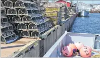  ?? ERIC MCCARTHY/JOURNAL PIONEER ?? In preparatio­n for the upcoming snow crab season, fishing boats are reappearin­g at Prince Edward Island fishing ports, including Northport Wharf in Alberton Harbour.