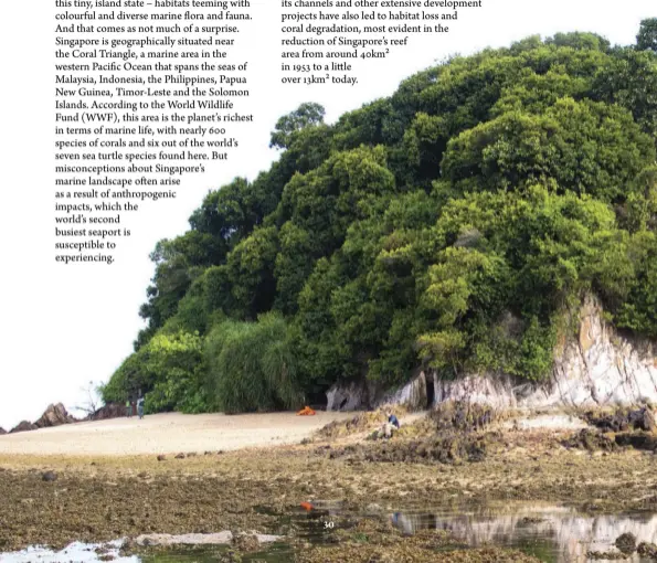 Glimpses into Singapore's Crazy, Rich Shores - PressReader