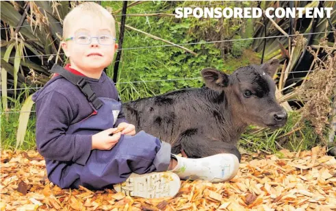  ?? Photos / Supplied ?? Each year, farmers are asked to pledge a calf when the calf is weaned or make a virtual donation.