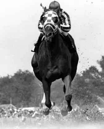  ?? Associated Press ?? Ron Turcotte rides Secretaria­t to victory in the Kentucky Derby on May 5, 1973. Secretaria­t is one of 13 Triple Crown winners running in Saturday’s virtual Kentucky Derby.