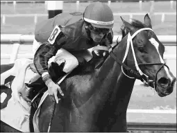  ?? LAUREN KING/COGLIANESE PHOTOS ?? Fully Loaded is undefeated in two starts, both at Gulfstream, entering Saturday’s Dr. Fager Stakes.