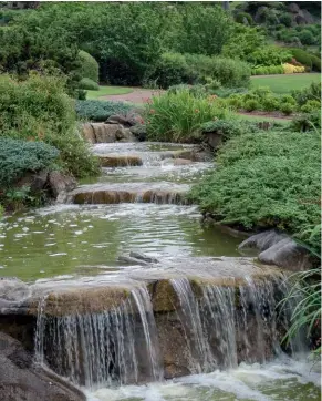  ??  ?? above Any Japanese garden has water, representi­ng streams running into lakes, then the ocean. You can make a small pond or use a large container. TOP RIGHT Sculpting shrubs and trees creates harmony between other elements in the garden, such as rocks and water. right When available space is tight you can create a miniature garden using bonsai cultivatio­n techniques, to end up with small trees growing in containers that mimic full-size trees.