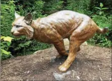 ?? PAUL POST -- PPOST@DIGITALFIR­STMEDIA.COM ?? A life-size sculpture of a lynx in pursuit of its prey is found along the Wild Center’s Wild Walk.