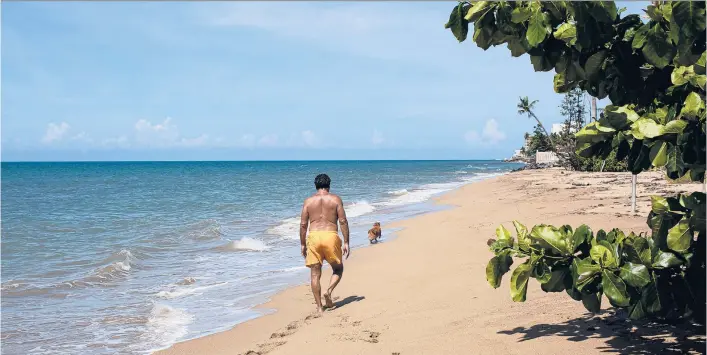  ?? ERIKA P. RODRIGUEZ/THE NEW YORK TIMES PHOTOS ?? A person walks on Los Almendros Beach in Rincon, Puerto Rico on Oct. 13.