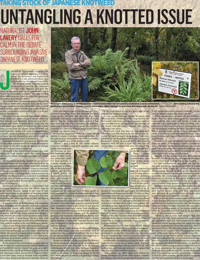  ?? INSET BELOW : John holding a stem of the Photos by Domnick Walsh ?? Naturalist John Lavery in woodland at his Listowel home where he successful­ly eradicated Japanese Knotweed. plant growing at another location nearby where signs, right, highlight its presence, warning people ‘do not cut’.