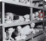  ??  ?? Elie Wiesel (circled) is pictured in
Buchenwald on the day U.S. soldiers
liberated the camp. He is on the far right,
on the second level of bunks.