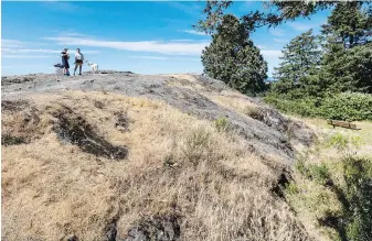  ?? DARREN STONE, TIMES COLONIST ?? Dry conditions at the summit of Mount Tolmie in Saanich on Monday.