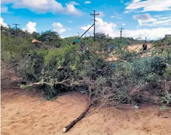  ??  ?? Residents blockaded the road with branches during their water protest in Mtikwe