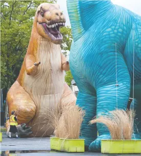  ?? JASON PAYNE ?? Giant inflatable dinosaurs are manoeuvred into position on Thursday at the Pacific National Exhibition, which opens for drive-thru fun on Saturday.