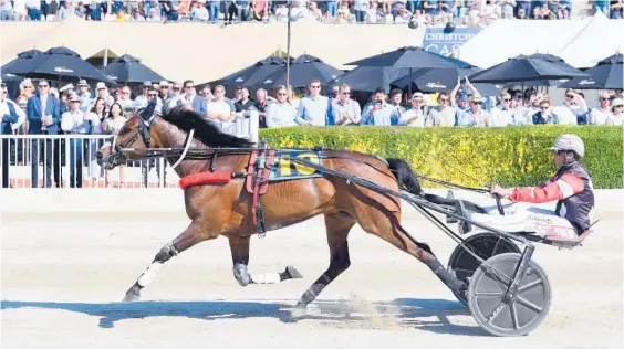  ?? Photo / Getty Images ?? Sundees Son has drawn the ace in the 2700m mobile of the $100,000 Peter Breckon Memorial National Trot.