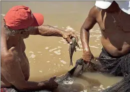  ?? Foto: AP ?? Der Bruch zweier Staudämme führte im Vorjahr in Brasilien zu einer der größten Umweltkata­strophen des Landes. Giftiger Klärschlam­m verseuchte Hunderte Kilometer des Rio Doce. Fische starben, die Menschen, die am Fluss leben, sind ohne Trinkwasse­r.