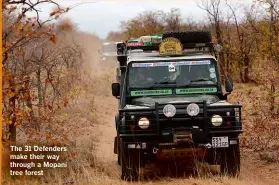  ??  ?? The 31 Defenders make their way through a Mopani tree forest