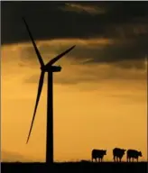  ?? ASSOCIATED PRESS FILE PHOTO ?? President Trump’s put-down of wind energy at his Iowa rally was denounced earlier this week across the state, which has been a national leader in wind generation. He added “as the birds fall to the ground,” a reference to birds killed by turbines.