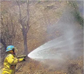  ??  ?? Trabajos. El trabajo de los bomberos de Zacatecolu­ca ha sido apoyado por elementos de la fuerza armada y personal de la alcaldía.