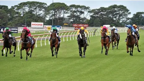  ?? PHOTO: KEVIN FARMER ?? GOOD RUN: Exceedingl­y Kool and jockey Todd Banks (second, from left) win race one at Clifford Park.