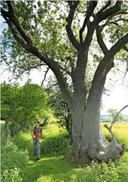  ??  ?? ▲ PERFECT PEACE
Above: The Herriot Way is little walked and utterly unspoiled.