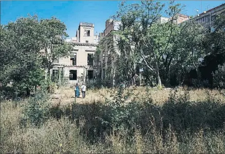  ?? ANA JIMÉNEZ ?? Estado actual del jardín de la finca de Can Ferrer, que el año que viene se abrirá al público