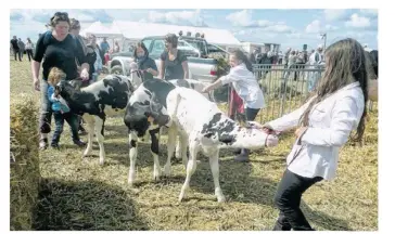  ??  ?? Les animaux de la ferme seront présents dans la mini-ferme.