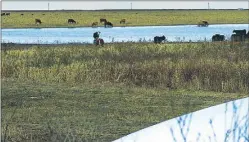  ??  ?? INUNDACION­ES. Son el espejo de cuatro años de clima Niña.