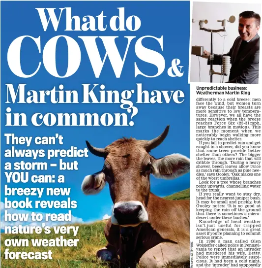  ??  ?? Unpredicta­ble business: Weatherman Martin King
