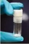  ??  ?? A vial containing two milligrams of fentanyl, which can be deadly.