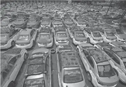  ?? SAKCHAI LALIT/AP ?? Miniature gardens are planted on the rooftops of unused taxis parked in Bangkok, Thailand. Taxi fleets in Thailand idled by the coronaviru­s crisis serve as small vegetable plots and raise awareness about the plight of out-of-work drivers.