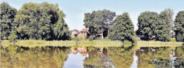  ?? FOTOS (3): CHRISTIANE KELLER ?? Der Heidesee in Faßberg-Müden ist ein wunderbare­s Erholungsz­iel. Hier gibt es noch viele Fische und Reiher. Am Rand des Heidesees befindet sich eine historisch­e Wassermühl­e.